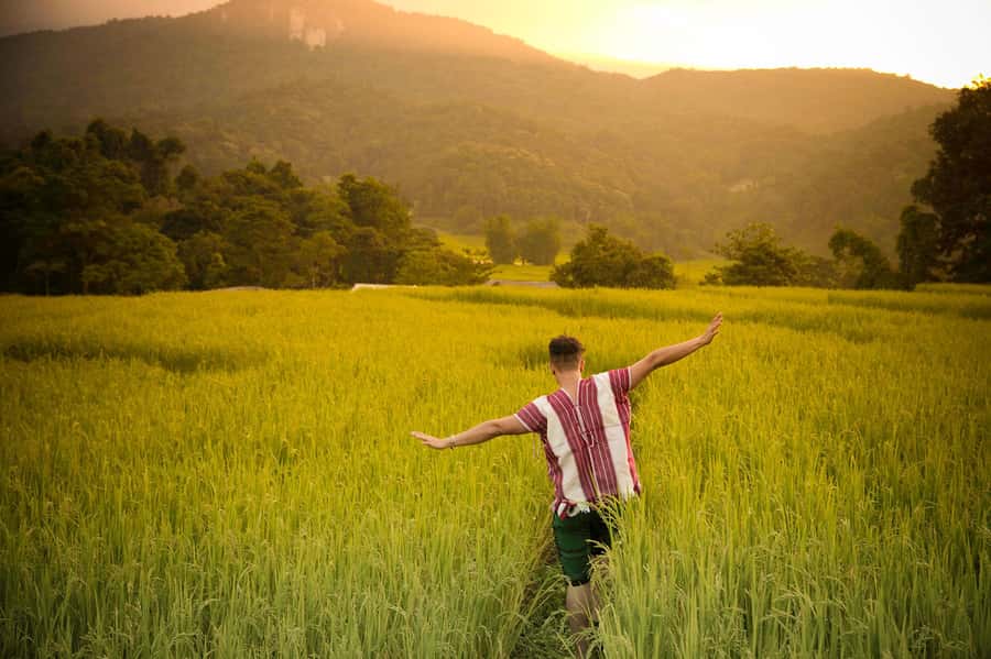 Chiang Mai: Doi Inthanon National Park, Waterfall & Lunch - Price and Value: What You Are Actually Buying