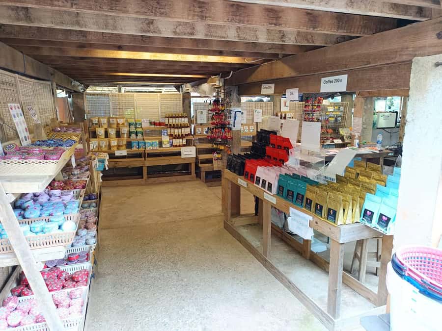Chiang Mai: Doi Inthanon One-Day Tour with a Private Driver - Private Van Pickup in Chiang Mai at 7:30 AM