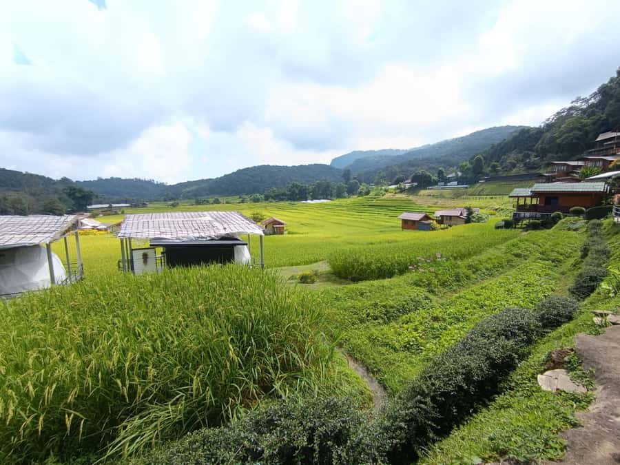 Chiang Mai: Doi Inthanon One-Day Tour with a Private Driver - Ang Ka Nature Trail: Optional Mossy Cloud-Forest Walking