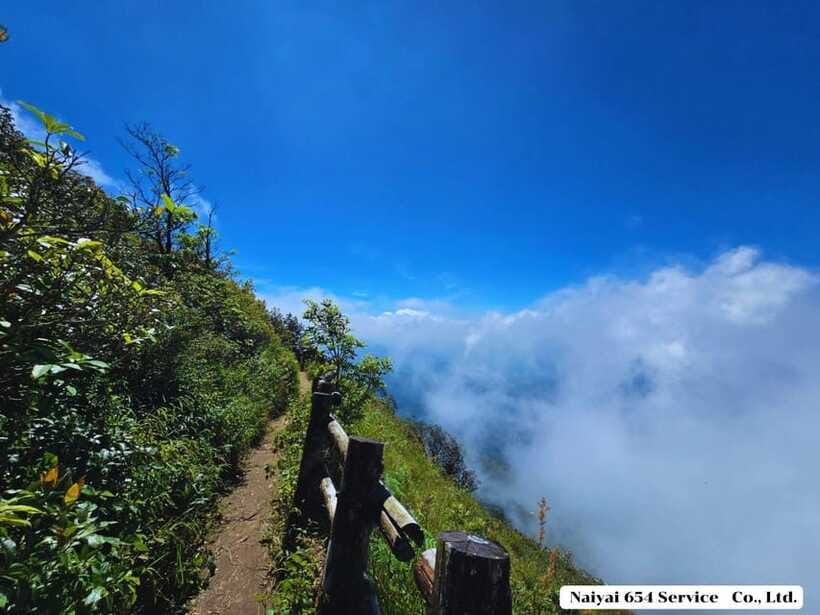 Chiang Mai: Doi Inthanon One-Day Tour with a Private Driver - Royal Agricultural Station Inthanon as a Smart Midday Pause