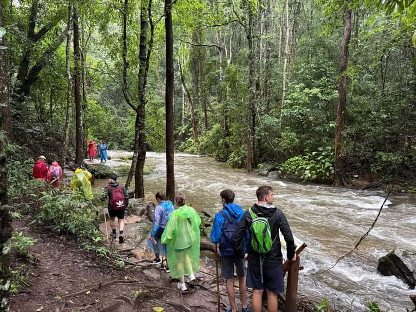 Chiang Mai: Doi Inthanon Park & 2 Hrs Trekking Pha Dok Siew - Pickup, van time, and the rhythm of a long day