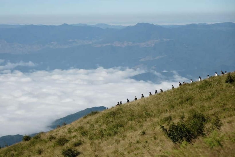 Chiang Mai: Doi Inthanon Park and Kew Mae Pan 2-Hour Hike - King and Queen Pagodas: royal respect, plus flower gardens and viewpoints