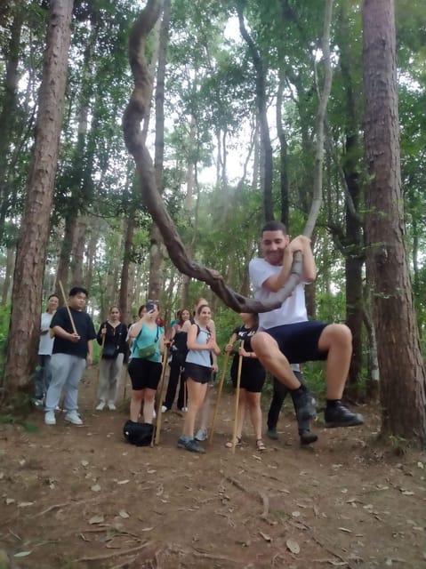 Chiang Mai: Doi Inthanon Park and Pha Dok Siew Hike Day Trip - Pha Dok Siew Nature Trail, the 2-hour jungle walk that people remember