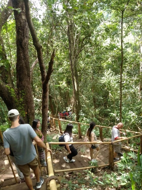 Chiang Mai: Doi Inthanon Park and Pha Dok Siew Hike Day Trip - Karen Hill Tribe village and the coffee stop