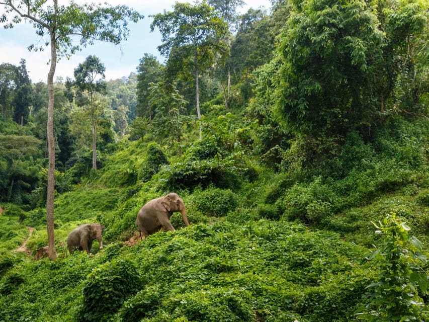 Chiang Mai: Doi Inthanon Park and Pha Dok Siew Trail Trek - Key things I’d mark as the best parts