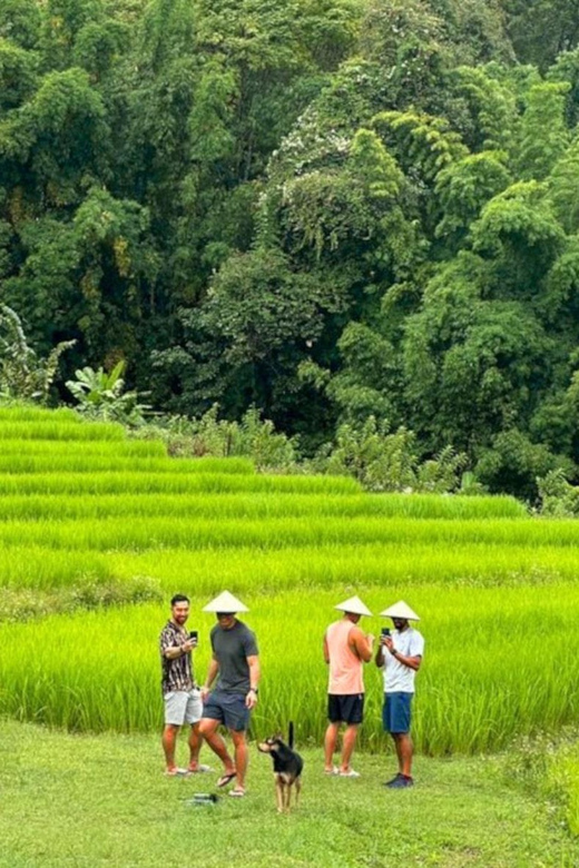 Chiang Mai: Doi Inthanon Park and Pha Dok Siew Trail Trek - Doi Inthanon National Park: why this day trip feels worth it