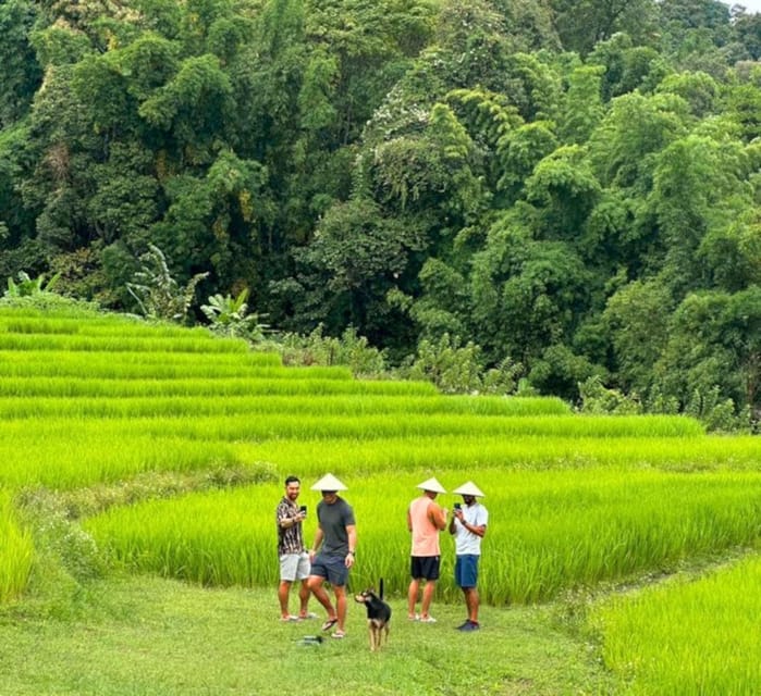 Chiang Mai: Doi Inthanon Park and Pha Dok Siew Trail Trek - Villages, terrace rice fields, and shopping time that doesn’t feel rushed