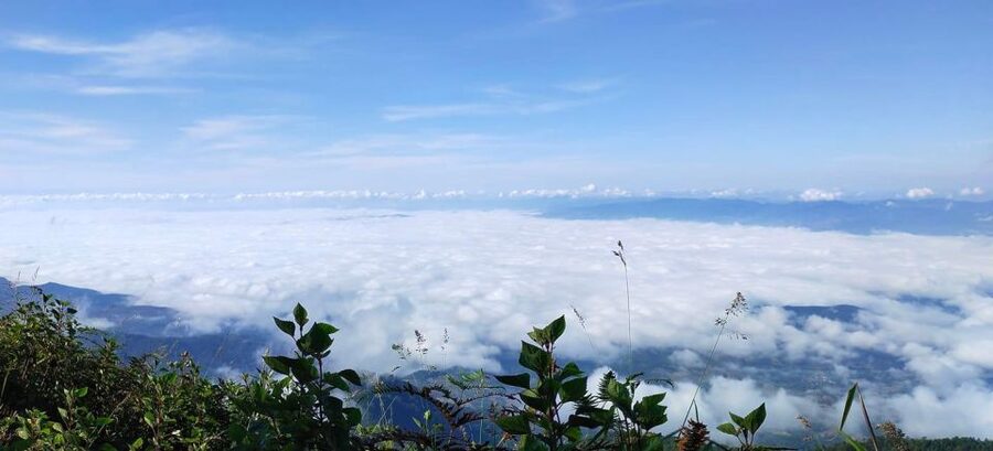 Chiang Mai: Doi Inthanon Park Day Trip with Kiw Mae Pan Hike - Who This Tour Fits Best, and Who Should Skip It