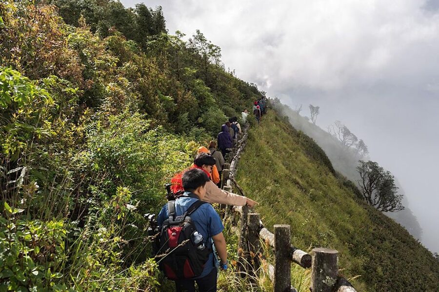 Chiang Mai: Doi Inthanon Park Day Trip with Kiw Mae Pan Hike - Price and Value: What $61 Gets You