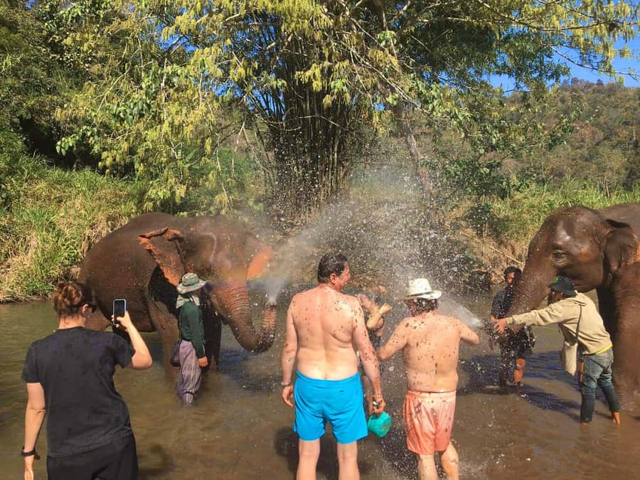 Chiang Mai: Doi Inthanon Park Hiking & Elephants Sanctuary - King and Queen Pagodas: calm temple time that breaks up the hike