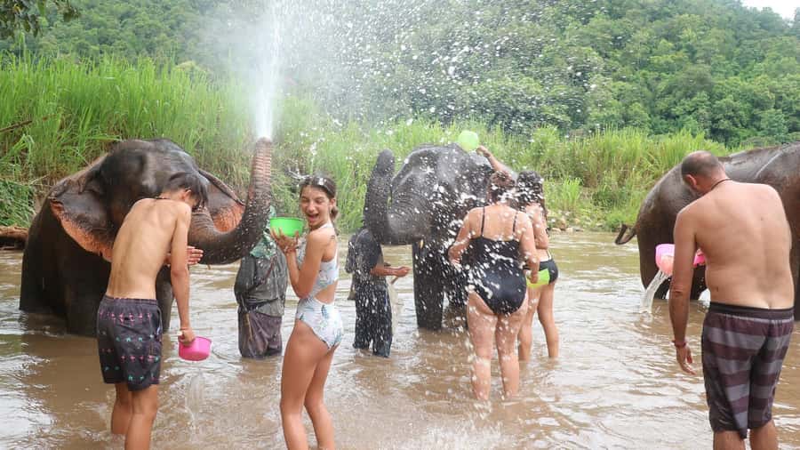 Chiang Mai: Doi Inthanon Park Hiking & Elephants Sanctuary - Baan Mae Klang Luang coffee tasting: a small stop with real local flavor