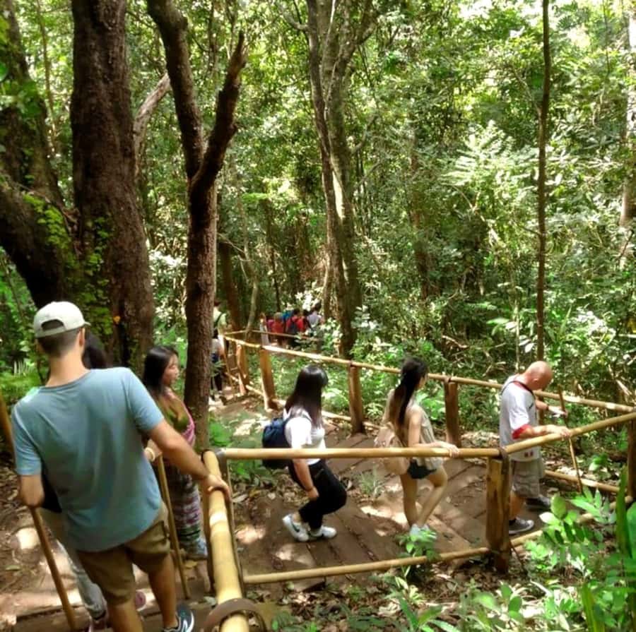 Chiang Mai: Doi Inthanon Park Hiking & Elephants Sanctuary - What to expect from timing and the pace