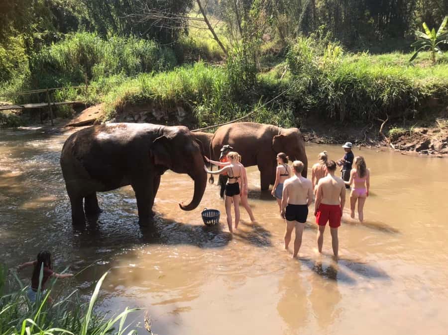 Chiang Mai: Doi Inthanon Park Hiking & Elephants Sanctuary - Price and value for $76: what you get for your money