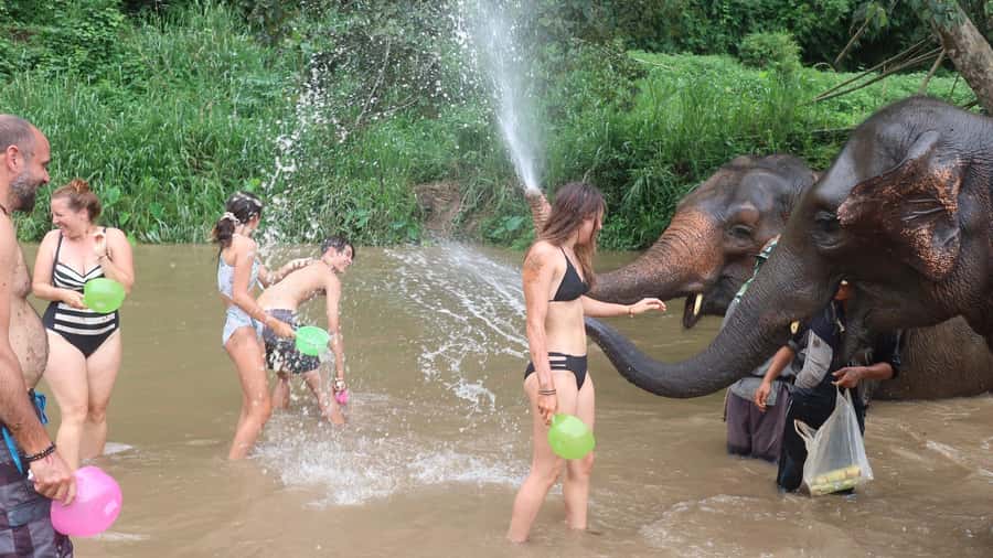 Chiang Mai: Doi Inthanon Park Hiking & Elephants Sanctuary - The ethical elephant sanctuary: what you actually do (and what you don’t)