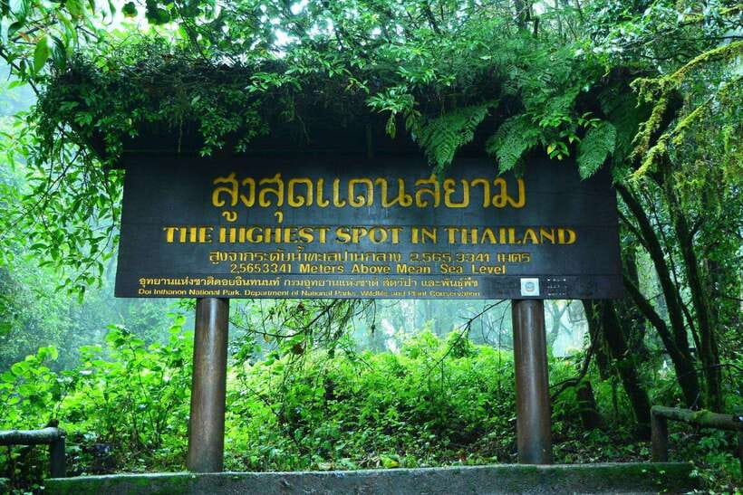 Chiang Mai: Doi Inthanon Park Tour & Kew Mae Pan Trail Hike - King and Queen pagodas: big views with a dress code