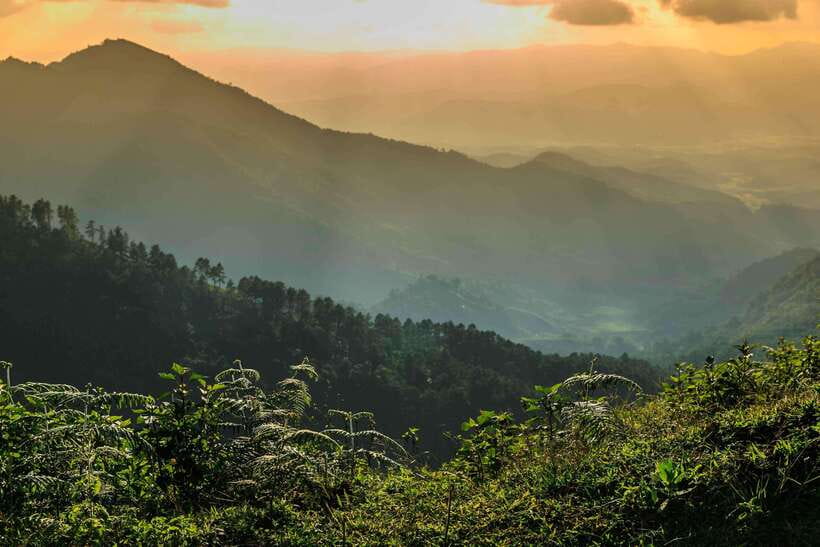 Chiang Mai: Doi Inthanon Park Tour & Kew Mae Pan Trail Hike - Kew Mae Pan Nature Trail hike: the hard part of the day