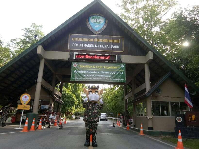 Chiang Mai: Doi Inthanon Park Tour & Kew Mae Pan Trail Hike - Lunch and water, plus what to pack for cold mountain weather
