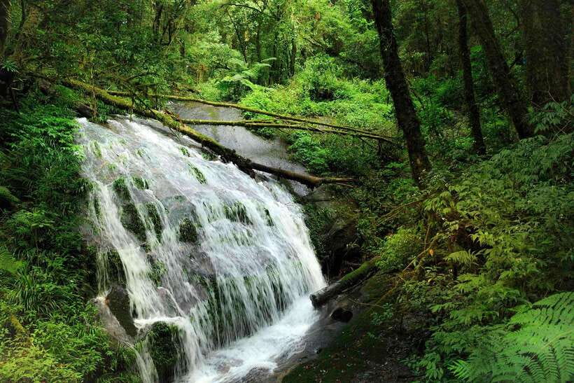 Chiang Mai: Doi Inthanon Park Tour & Kew Mae Pan Trail Hike - Price and value: what $51 includes, and why the park fee option matters