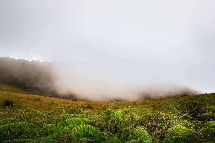 Chiang Mai: Doi Inthanon Park Tour & Kew Mae Pan Trail Hike - Who should book this and who should skip it
