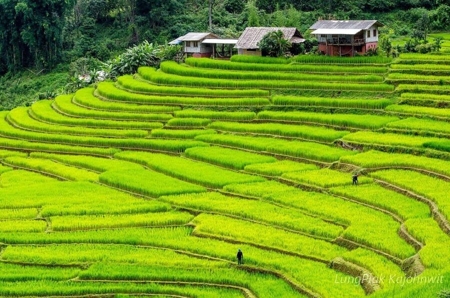 Chiang Mai Doi Inthanon Park Waterfall Pure Sightseeing Tour - Transportation comfort and the luggage rules that can trip you up