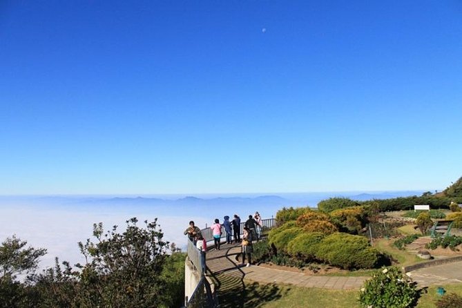 CHIANG MAI: Doi Inthanon-Trekking Keiw Mae Pan-Waterfall-Lunch - Trekking Kew Mae Pan: the short trail that still asks for effort
