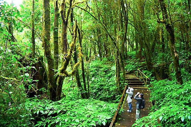 CHIANG MAI: Doi Inthanon-Trekking Keiw Mae Pan-Waterfall-Lunch - Timing and pacing: about 9 hours, with an active chunk