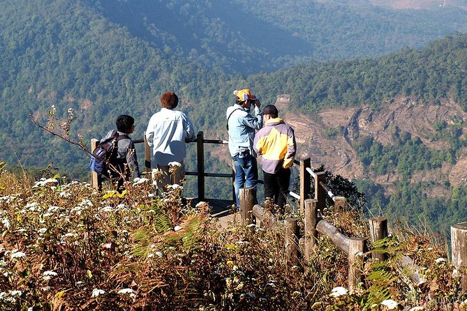 CHIANG MAI: Doi Inthanon-Trekking Keiw Mae Pan-Waterfall-Lunch - King and Queen pagodas: pretty, but also practical sightseeing