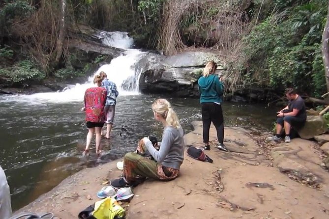 CHIANG MAI: Doi Inthanon-Trekking Pha Dok Seaw-Waterfall-Lunch - Lunch at a Local Set Menu: Included, Not Fine-Dining