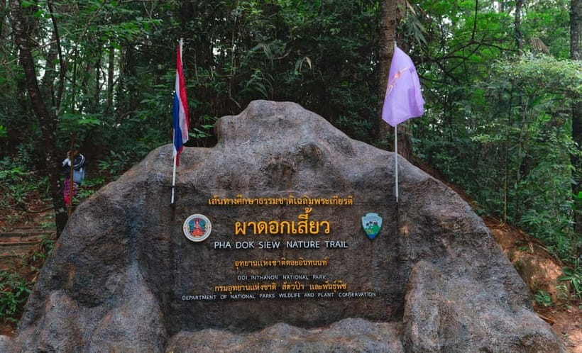 Chiang Mai: Doi Inthanon Trip with Pha Dok Siew Guided Trek - Key takeaways before you go
