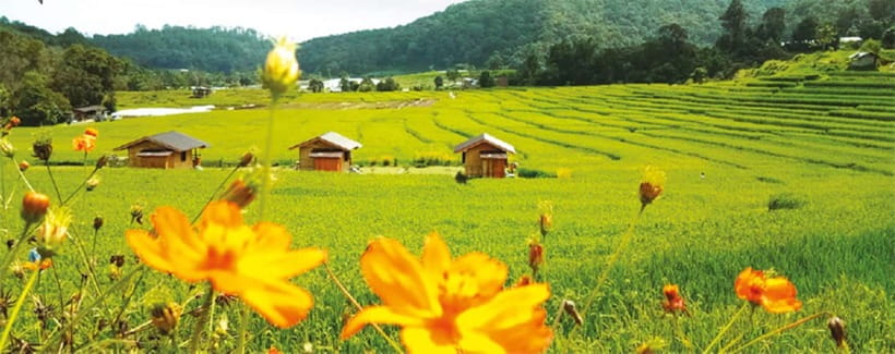 Chiang Mai: Doi Inthanon Trip with Pha Dok Siew Guided Trek - What to bring, how to dress, and who should rethink this tour