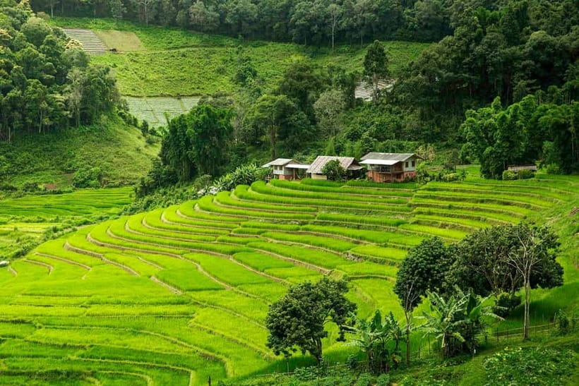 Chiang Mai: Doi Inthanon Trip with Pha Dok Siew Guided Trek - King and Queen pagodas: the cultural pause with real dress rules