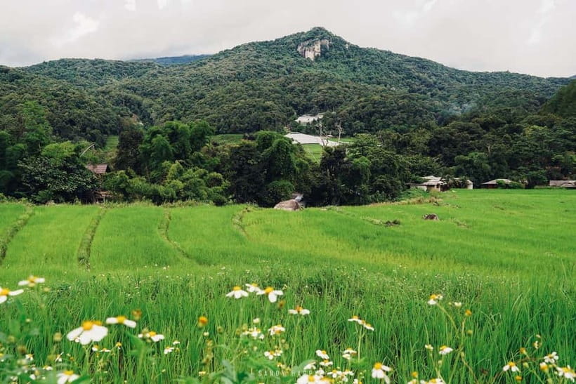 Chiang Mai: Doi Inthanon Trip with Pha Dok Siew Guided Trek - Price and park-fee options: what you need to confirm before you pay