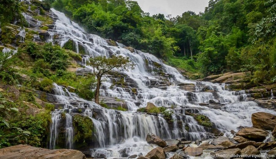 Chiang Mai: Doi Inthanon, Waterfalls, & Tribal Villages Tour - Doi Inthanon’s 2,565 meters: why the day starts with altitude