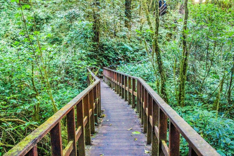 Chiang Mai: Doi Inthanon, Waterfalls, & Tribal Villages Tour - Karen and Hmong hill tribes: what to watch for in the market stop