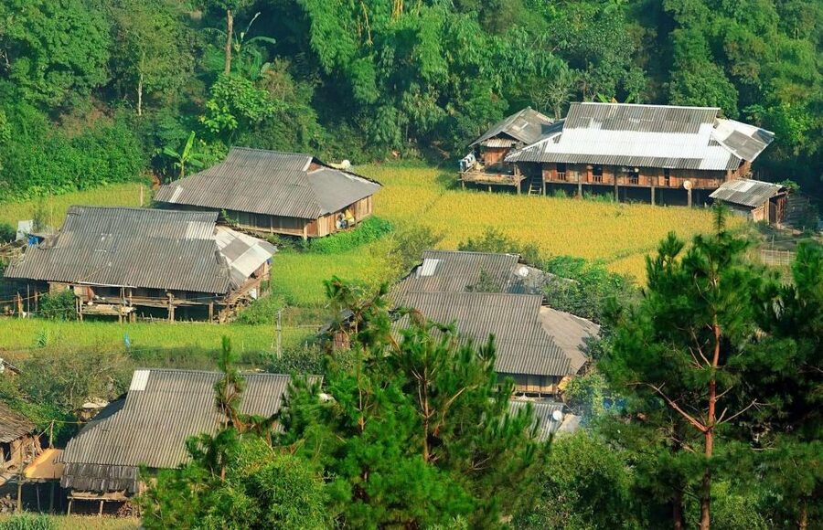Chiang Mai: Doi Suthep and Hmong Village Half-Day Tour - Price and what you get for $28