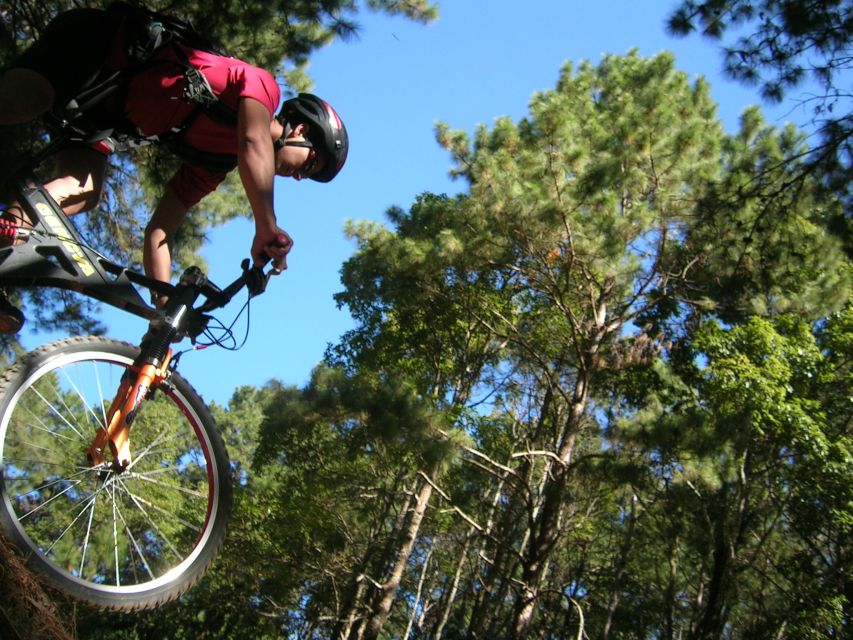Chiang Mai: Doi Suthep National Park Leisure Hiking & Biking - Price and Effort: Is $60 Worth It?