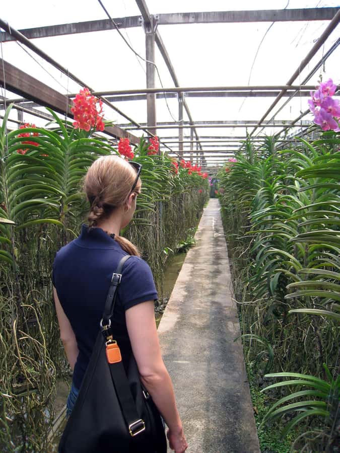 Chiang Mai: Doi Suthep, Orchid Farm and Waterfall with Lunch - Lunch in the middle of the day so your energy stays on track