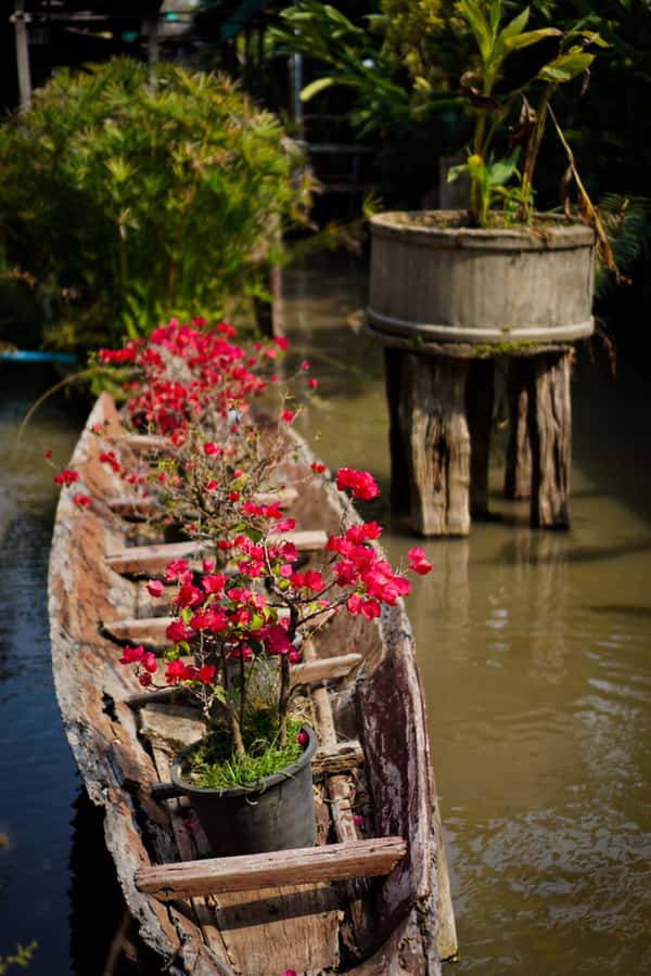 Chiang Mai: Doi Suthep, Orchid Farm and Waterfall with Lunch - Bua Tong Sticky Waterfall: plan on climbing, then plan on cooling off