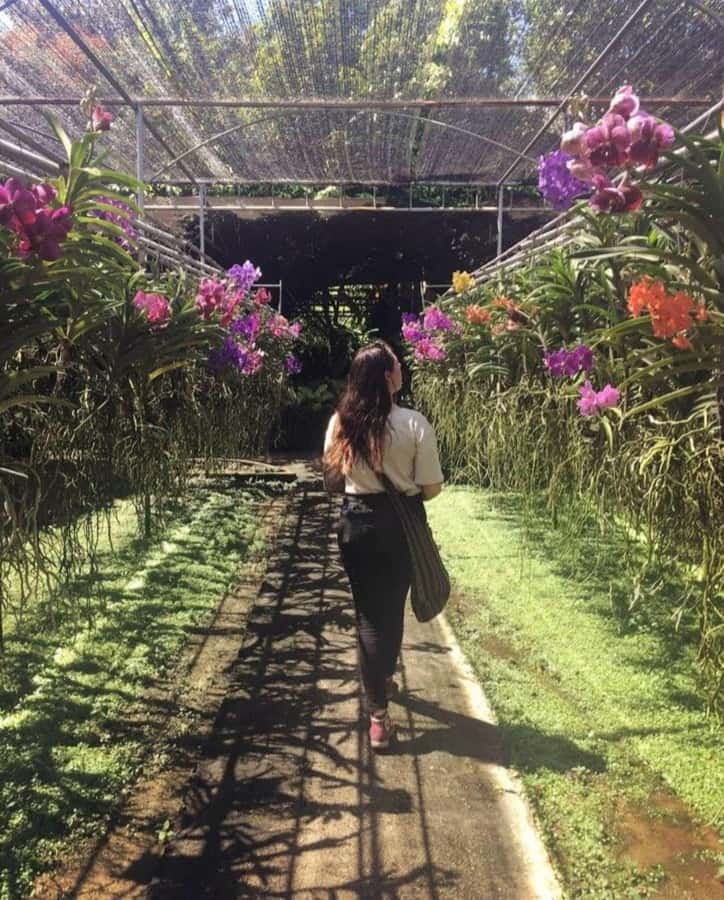 Chiang Mai: Doi Suthep, Orchid Farm and Waterfall with Lunch - Karen Village option, only if it fits what you want from the day