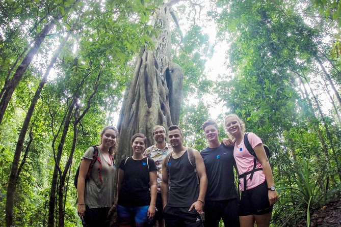Chiang Mai: Doi Suthep Summit Trek – 7 Hour Pure Hiking Adventure - Key points worth knowing before you go