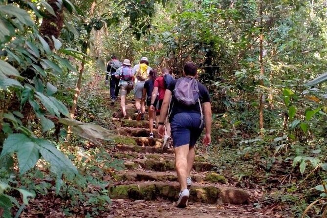 Chiang Mai: Doi Suthep Summit Trek – 7 Hour Pure Hiking Adventure - From the temple toward Ban Khun Chang Khian (hill tribe village)