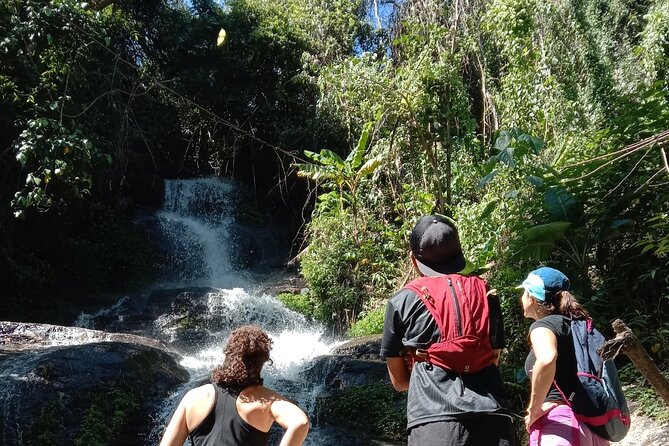 Chiang Mai: Doi Suthep Summit Trek – 7 Hour Pure Hiking Adventure - Starting with Wat Pha Lat and the Monk’s Trail