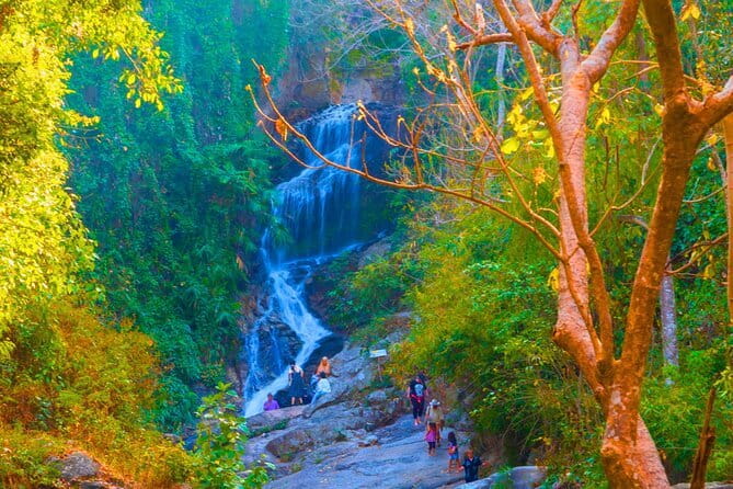 Chiang Mai: Doi Suthep Temple and Waterfall by Songtaew Trio - Wat Pha Lat: the forest temple with murals, carvings, and calm