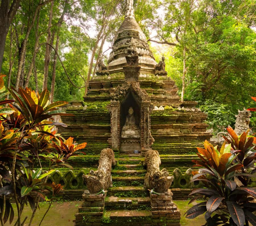 Chiang Mai: Doi Suthep Temple & Sticky Waterfall Trip - Key highlights worth getting excited about