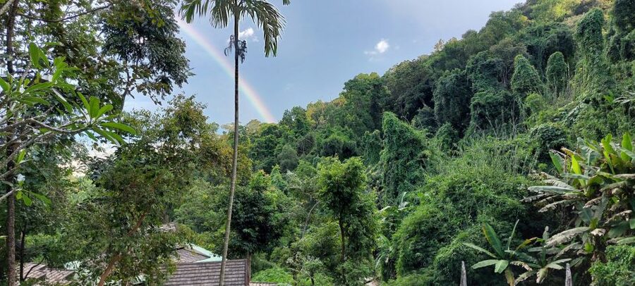 Chiang Mai: Doi Suthep Temple & Sticky Waterfall Trip - Bai Orchid and Butterfly Farm: a color and photo stop that breaks up the day