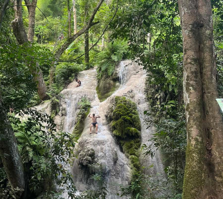 Chiang Mai: Doi Suthep Temple & Sticky Waterfall Trip - The Thai lunch: included meal, how to handle the buffet style