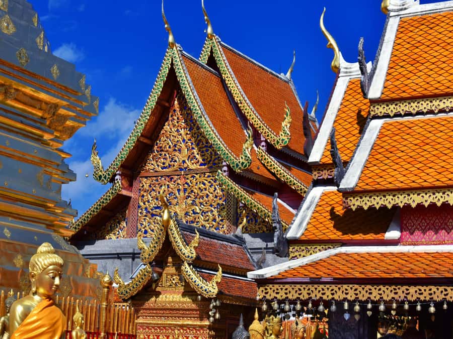 Chiang Mai: Doi Suthep Temple & Sticky Waterfall Trip - Guides, small group flow, and the pace question you should ask yourself