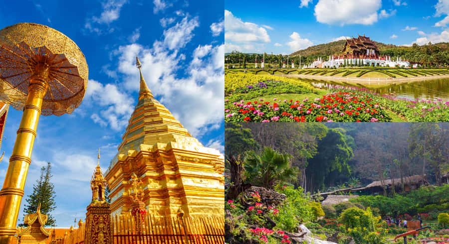 Chiang Mai: Doi Suthep Temple Tour with Hill Tribe or Palace - Key highlights you will care about