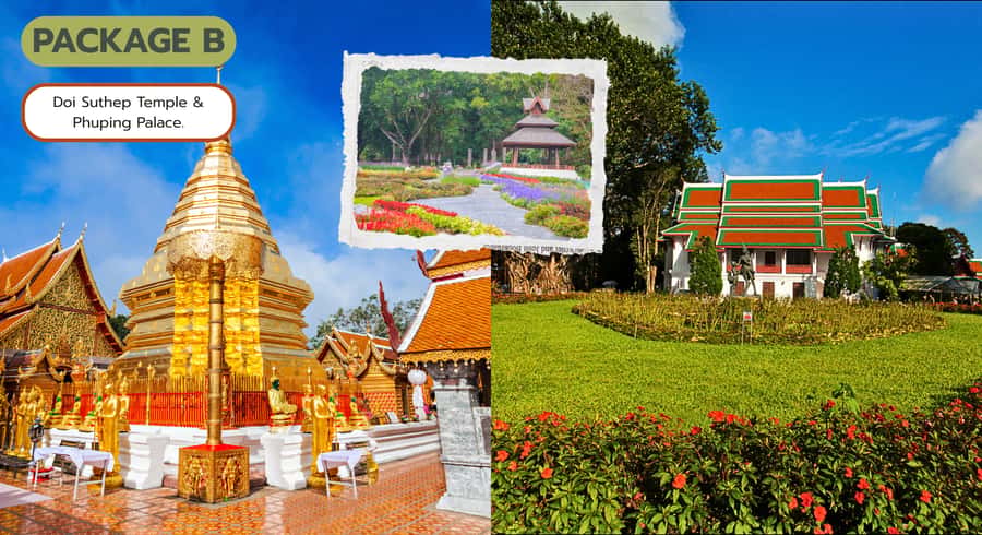 Chiang Mai: Doi Suthep Temple Tour with Hill Tribe or Palace - Getting to Wat Phra That Doi Suthep, and Why the Views Matter