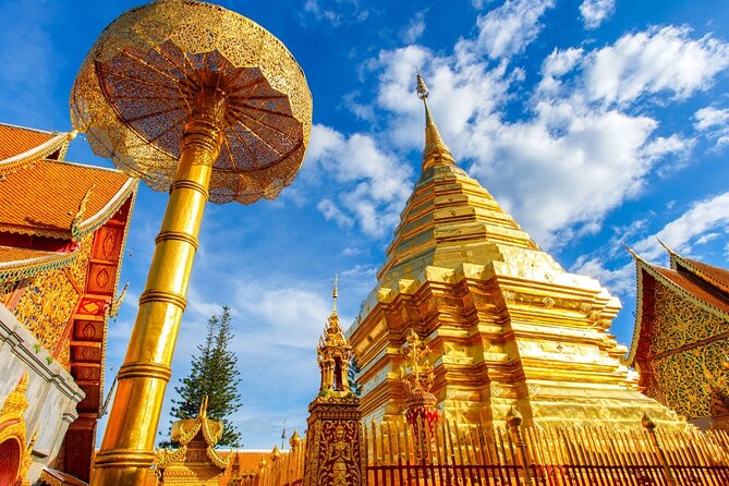 Chiang Mai - Doi Suthep Temple & Wat Pha Lat Hike - A mountain temple day that mixes forest calm with big gold views